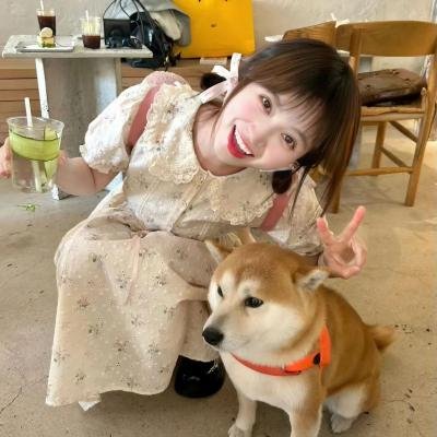 红粉舵爷